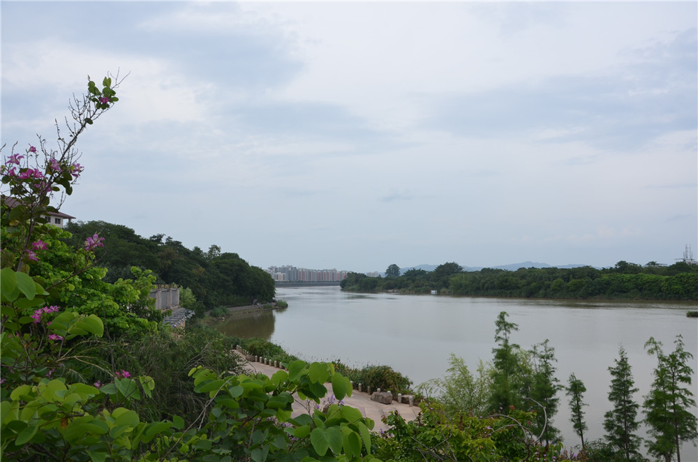國(guó)務(wù)院：聚焦企業(yè)關(guān)切，進(jìn)一步推動(dòng)優(yōu)化營(yíng)商環(huán)境政策落實(shí)